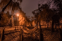Парк ім. Шевченка уночі виглядає атмосферно (7 ФОТО)