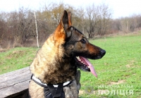 Собака Гроза знайшла крадіїв на Рівненщині. Ними виявилися мати і 15-річний син (ФОТО)