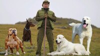Життя путіна охороняють три «вірних пси», — Невзлін