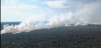 6 га – у полум’ї: На півночі Рівненщині рятувальники гасили пожежу кілька днів (ВІДЕО)