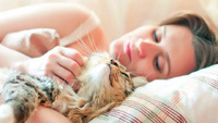 «Темні» прикмети та причини: чому насправді кішка спить поруч з людиною? 