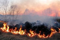 Невідомий на Рівненщині підпалив сухостій і сміття (ВІДЕО)
