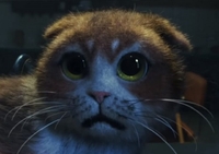 4 хвилини страху: створили перший фільм жахів для котів (ВІДЕО)