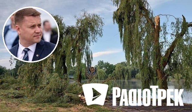 На фото - міський голова Рівного Олександр Третяк і повалені дерева у районі гідропарку. Там таких особливо багато...