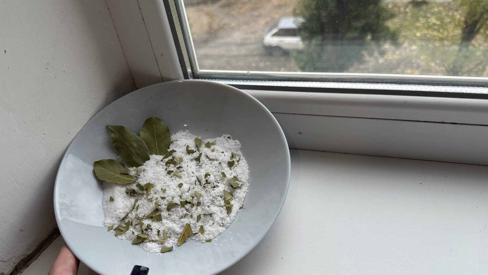 Ставлю на вікно тарілочку із сіллю, а туди – 2 цілих лаврових листи, і 3 подрібнених: не забобони, а «трюк»