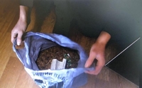 Повен пакет бурштину поліцейські знайшли на Рівненщині (ФОТО)