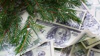 Стало відомо, скільки буде коштувати долар після різдвяних вихідних 