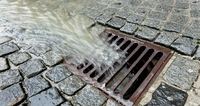 У дощовій каналізації Рівного можна робити... клумби (ФОТО) 