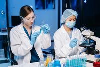 Є майже на кожному підвіконні: кімнатна рослина, яка здатна уповільнити старіння