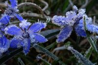 Жителів Рівненщини попередили про небезпеку через погоду 