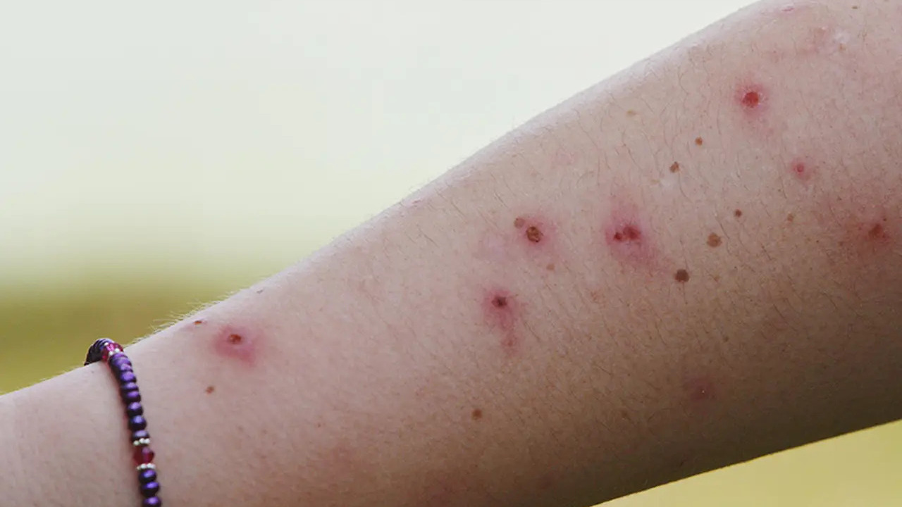 Фото ілюстративне, з відкритих джерел