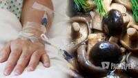 Маринована смакота виявилася смертельною: жінка у Трускавці зібрала гриби та померла