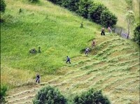 «І не турбувалися про купальники», - відомий вчений пригадав, як за СРСР педагоги косили траву