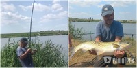 На Рівненщині рибалка спіймав величезного амура. Що чоловік зробив з рибою? (ВІДЕО)