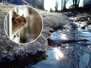 Фото з відкритих джерел. Колаж Радіо Трек