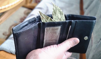 Які рослини потрібно носити у гаманці, щоб у ньому гроші не закінчувались: народні прикмети