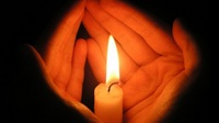 Професорка медицини втратила пам’ять і померла від голоду на Миколаївщині (ФОТО)