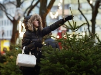 Скільки коштуватимуть новорічні дерева на Рівненщині 