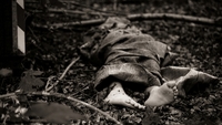 Тіло вже об’їли тварини: у лісі на Рівненщині знайшли вбитою дівчину