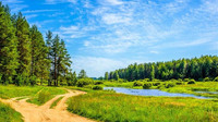 Що розкладали по кутках 1 червня, щоб прогнати з дому усі негаразди: народні прикмети