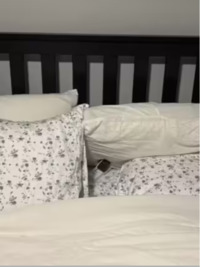 Кумедна головоломка: Тільки генії знайдуть кота (ФОТО)