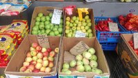 На рівненському базарі подешевшали яблука та кавуни (ЦІНИ/ФОТО)