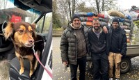 Два німці і собака + Величезна гора корму, яку вони привезли для наших Зоопарків (ФОТО)