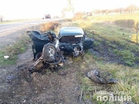 30-річна мати і її 7-річний син загинули у жахливій ДТП на Рівненщині (ФОТО/ВІДЕО)