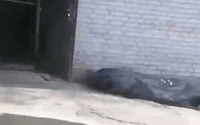На росії чоловік зняв на відео тіла людей, що лежали просто на вулиці біля моргу (18+)