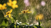 Де на Спаса не обійдеться без дощів: Синоптик зробила прогноз (КАРТА)