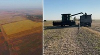 СБУ конфіскувала 45 тонн сої. ДП на Рівненщині просто віддало дорогий врожай зловмисникам? 