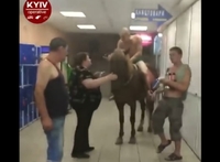 Верхи на коні – в одних трусах – заїхав до магазину чоловік у Києві (ВІДЕО)