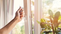 4 ефективних способи, як освіжити повітря вдома