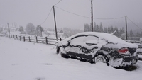 Як виглядає травневий сніг у Карпатах (ФОТО/ВІДЕО)