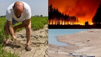Найсильніша за 500 років спека знищує врожаї, руйнує дамби та зупиняє АЕС у Європі (ФОТО)