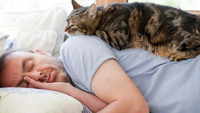 Чому котик спить на людині: пояснення науковців