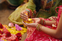 Найбільший букет на планеті став зіркою виставки в Індії (ФОТО)