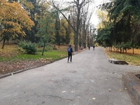 Кавовий кіоск, через який депутати ініціювали перевірку директора парку Черепанова, знову зник (ФОТО)