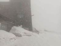 Гору в Карпатах замело снігом. Видимість —  до 70 м (ФОТО)