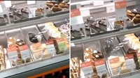 «Торт зі смаком голуба»: у рівненському супермаркеті помітили нахабу з дзьобом (ВІДЕО)