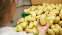 Огірки й картопля дорожчають, а слива здивувала ціною: як змінилися ціни на ринку