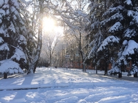Красива зима у Рівному (18 ФОТО)