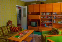 В СРСР це соромилися робити вдома, а зараз для багатьох це норма 