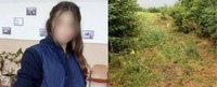 Тіло дівчини знайшли біля дому, у колодязі, засипаному травою. Подробиці трагедії на Кіровоградщині (ФОТО)