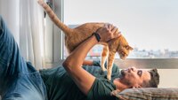 Врятують від самотності: Ці породи котів найвідданіші