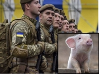 Український прикордонник порівняв бійців ЗСУ зі свинями й поплатився за це (ФОТО)