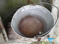 Чи прибуде вода у криницях на Рівненщині після весняного водопілля