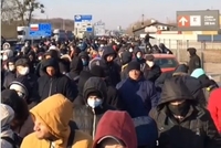 Сотні українських заробітчан стоять на кордоні з Польщею вже кілька днів. Багато без масок (ВІДЕО) 
