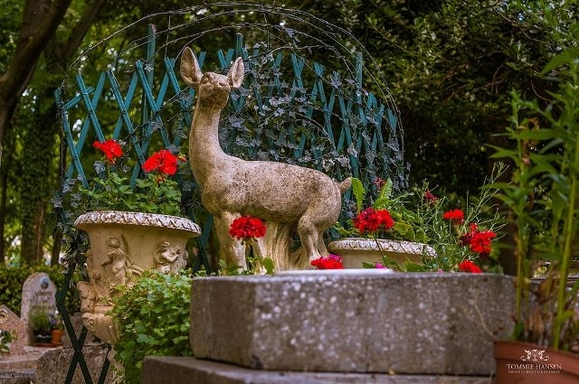 Кладовище собак у Парижі. Пам'ятник газелі