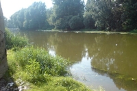 На Рівненщині у річці Стир загинув молодий чоловік